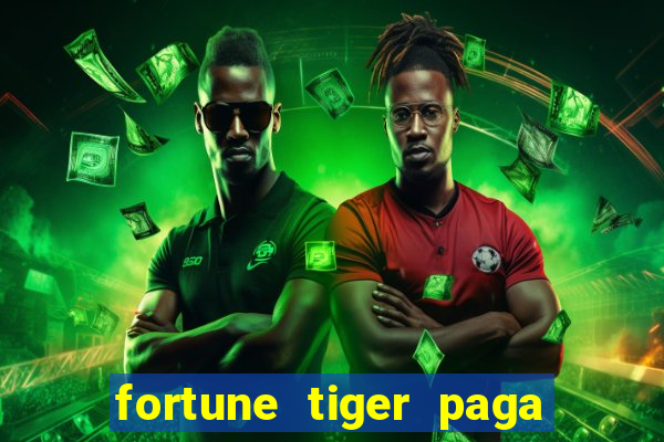 fortune tiger paga de madrugada